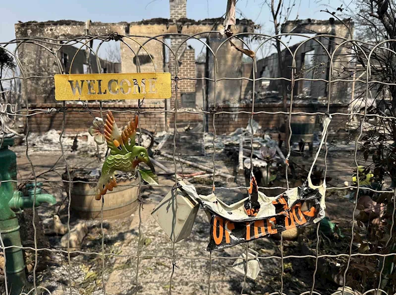 ABD’de orman yangını: 13 bin dönümlük arazi kül oldu
