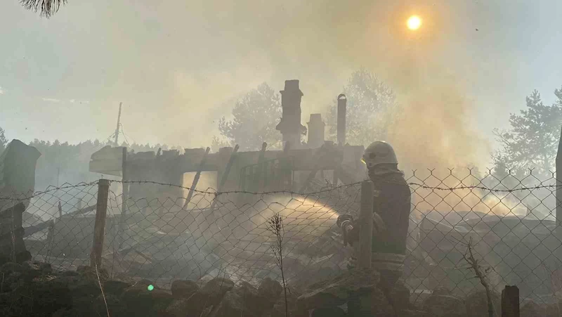 Bolu’da 12 yapıyı kül eden yangın kundaklama çıktı: Şüpheliler itiraf etti
